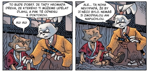 Usagi 40